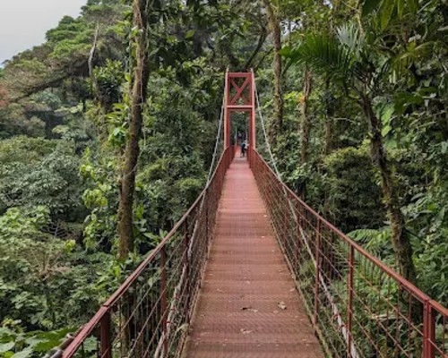 MonteverdeCloudForestBiologicalReserve